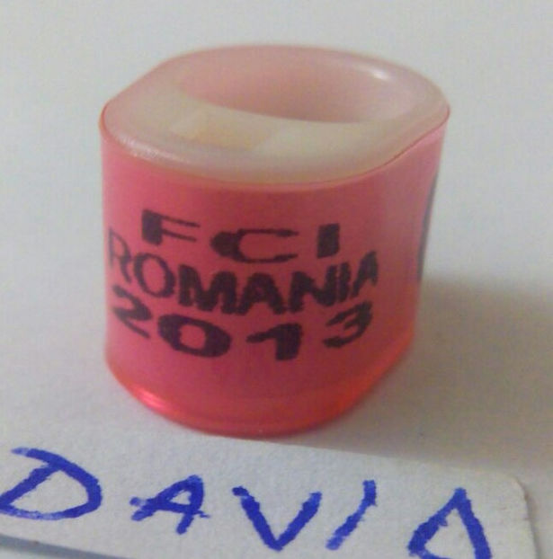 Romania-2013 - Romania