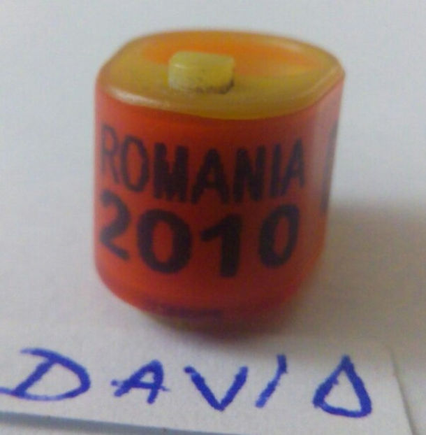 Romania-2010 - Romania