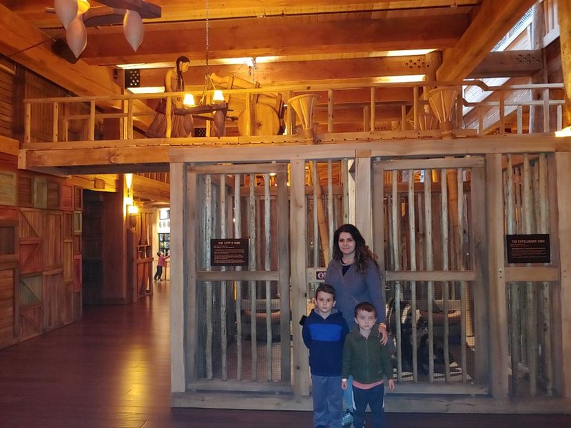 1027191248a_HDR - CONTACT-despre mine