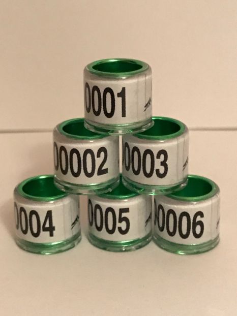 8C14E2DA-EA62-4925-A220-4CF9313473A7 - 00 Inele Speciale Personalizate RO 2020 8 mm