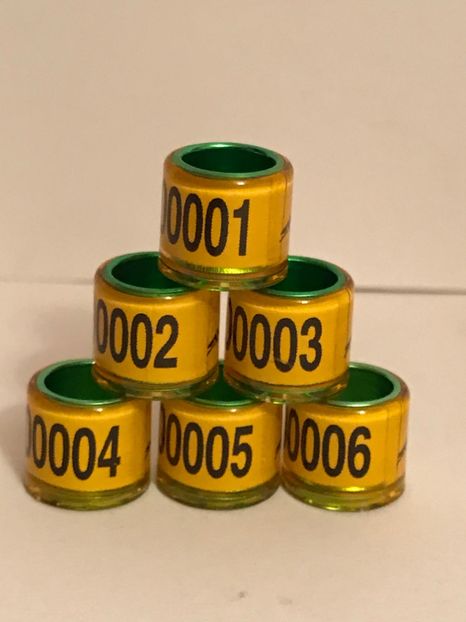 45C7BC99-16BB-49D0-B588-05EE41392F70 - 00 Inele Speciale Personalizate RO 2020 8 mm