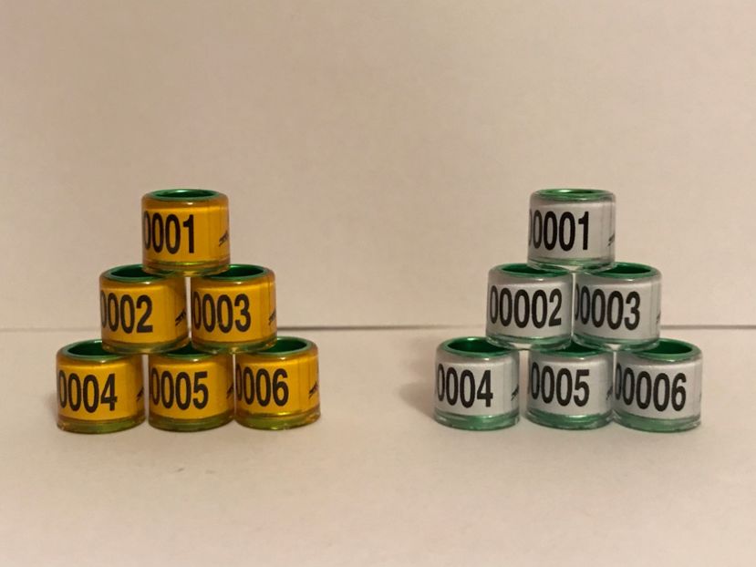 31B98448-246D-437D-8EF9-C346E9A33301 - 00 Inele Speciale Personalizate RO 2020 8 mm