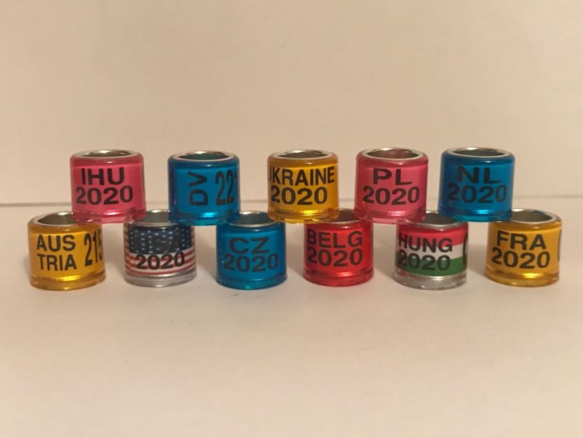 1E792DA1-2B3E-496D-8F46-F012D6C18729 - Inele porumbei tari străine 2020 colecție amatori