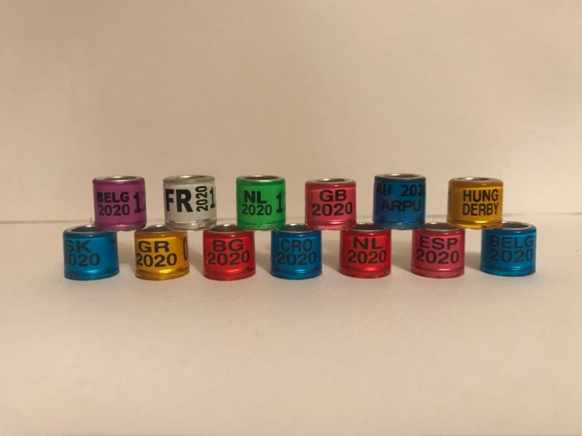 7DFF9F0F-3A23-403D-AA64-D6A384421FBE - Inele porumbei tari străine 2020 colecție amatori