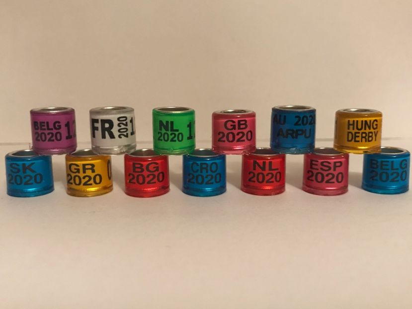 22902288-B9BD-4C13-AB68-6220E191EE18 - Inele porumbei tari străine 2020 colecție amatori