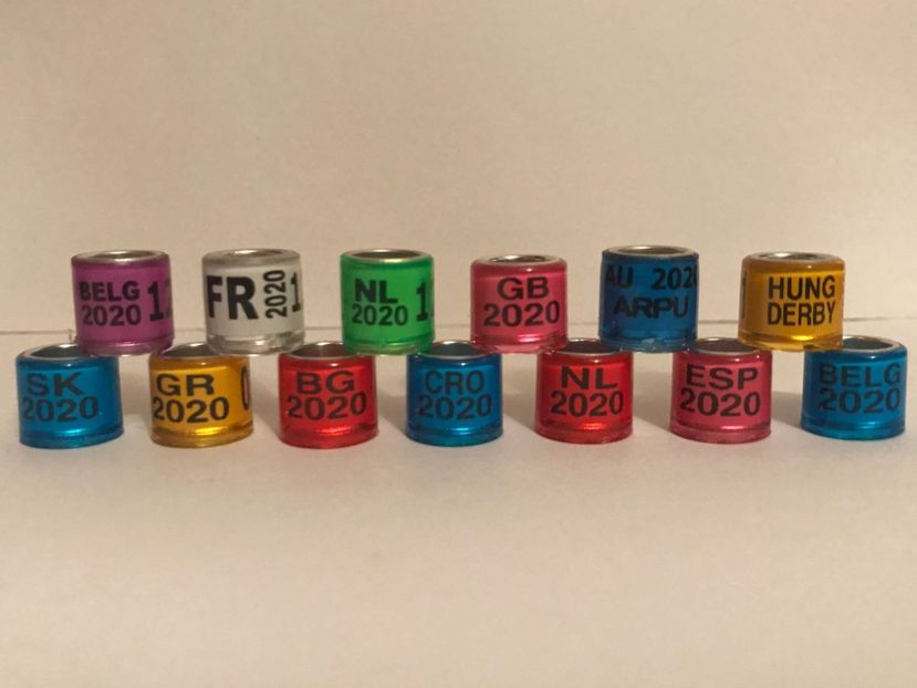 1C0D4F87-C7EF-499C-840E-328B4BFDD1BD - Inele porumbei tari străine 2020 colecție amatori