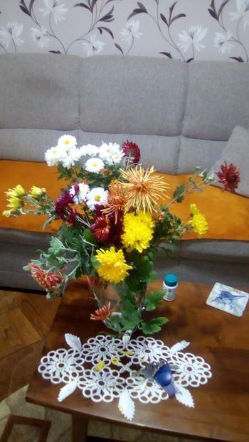 IMG-20191106-WA0014 - Gradina la sfarsit de octombrie 2019