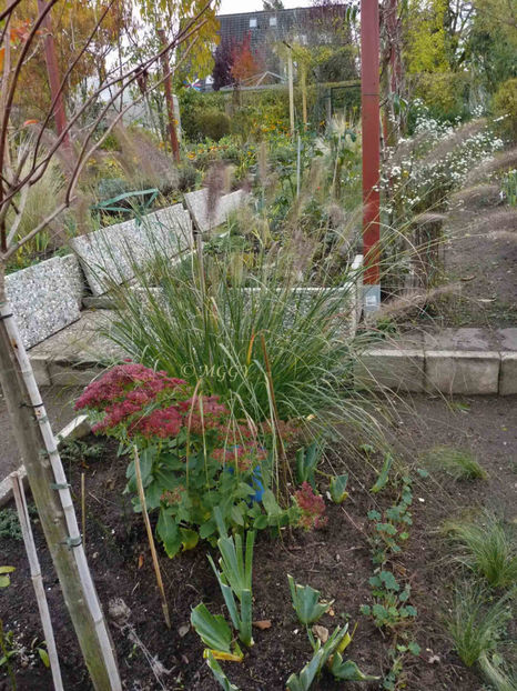 © - 2019 - 03 - Toamna