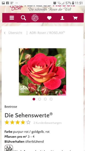 Screenshot_20191109-115153_Firefox - Die Sehenswerte
