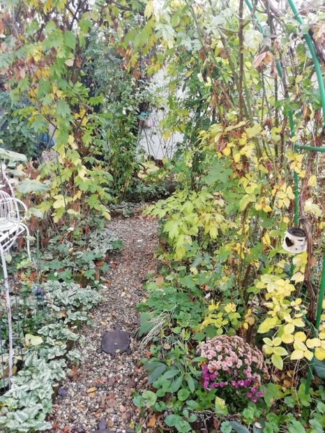  - Grădina 2019 sfârșit de sezon