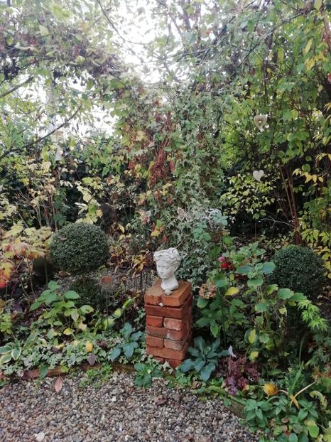  - Grădina 2019 sfârșit de sezon