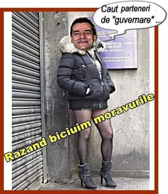  - Poze haioase pamflet