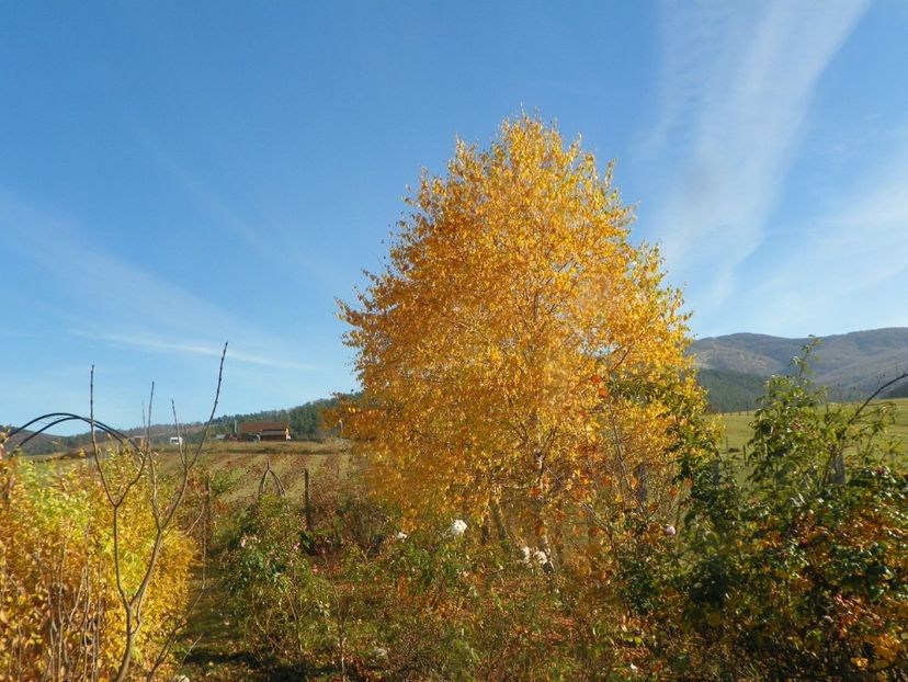 9 nov (22) - Dobarland 2019 4