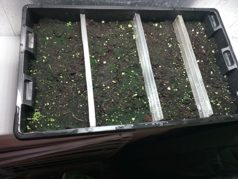  - Promoția 2019-2020