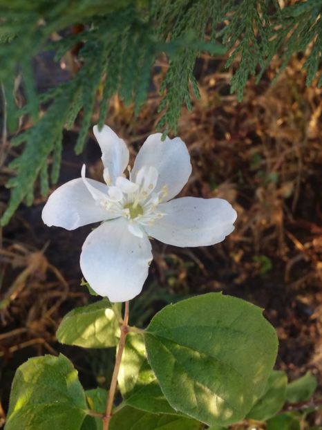  - curtea cu toate cele 2019