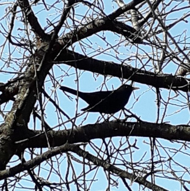  - AAAAA__TOAMNA 2019