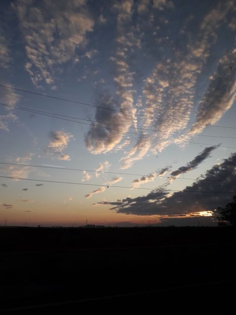  - AAAAA__TOAMNA 2019