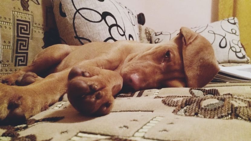 f1c1ade1-36b0-411f-8ab5-5abe463c95b9 - Contact