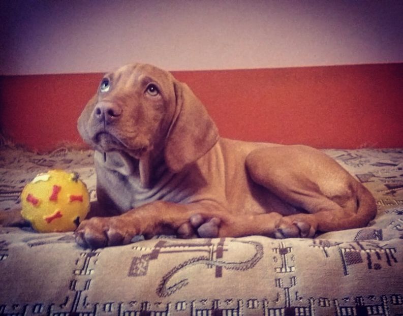 4AC8939D-0740-4A7E-B4DA-3E2B5C242353 - Contact