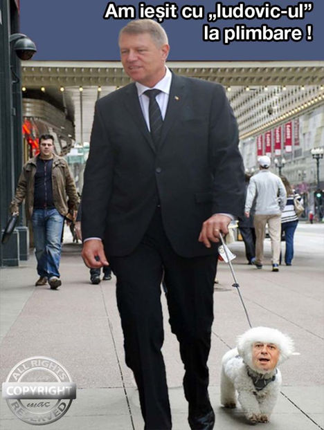 74951483_2537316186345260_1936345602644246528_o - Poze haioase pamflet