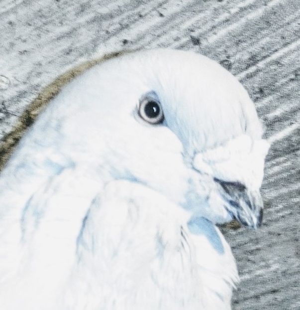  - - A - A - A - A- W A R N I N G !