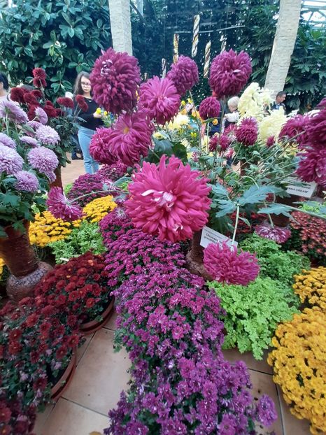  - Gradina botanica 2019