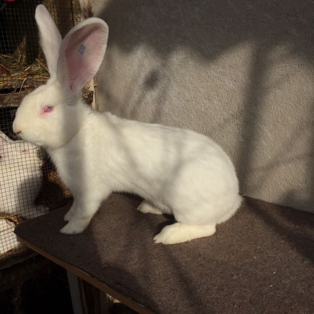 0FDA66DC-EE77-4464-B2B7-296C98AE8D73 - RO 8-193