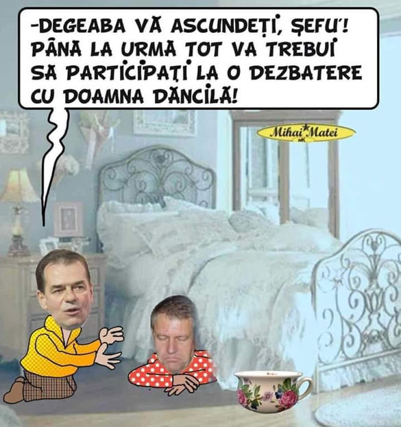  - Poze haioase pamflet