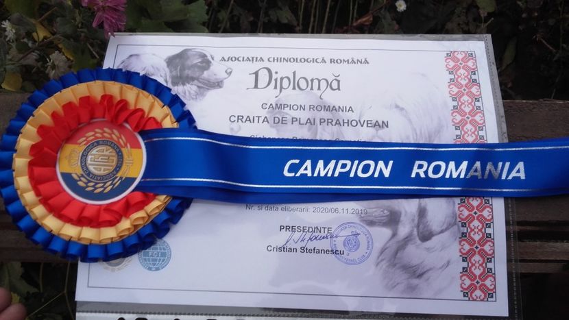 20191113_075505[1] - 2 CRĂIŢA DE PLAI PRAHOVEAN - CAMPION ROMANIA