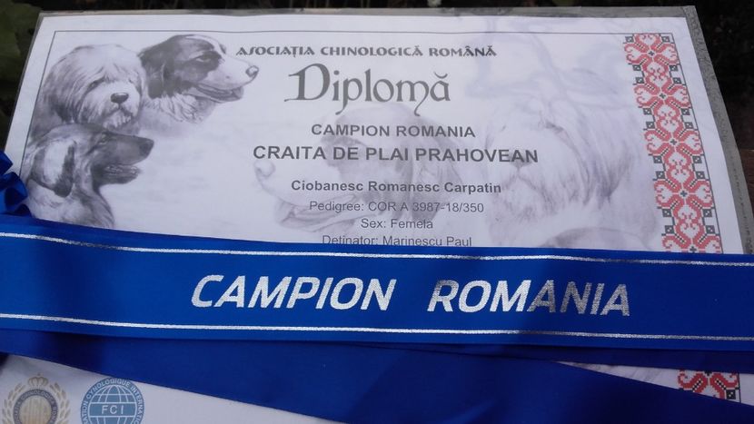 20191113_075429[1] - 2 CRĂIŢA DE PLAI PRAHOVEAN - CAMPION ROMANIA
