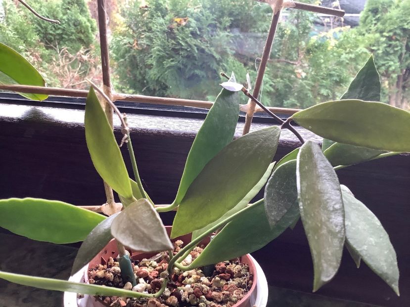 9D398E86-9575-4D5A-9DEA-F602B5C4A34F - Cembra