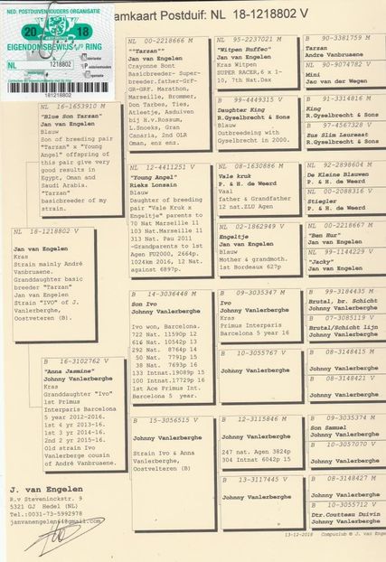 Pedigree NL 18-1218802 F - Femele aflate la matca