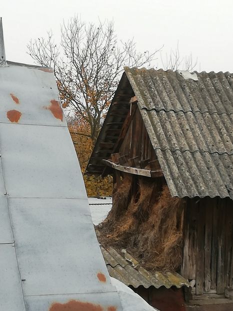  - Adaposturi Model---Model odinioara