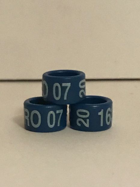 75330ADC-637B-4DDE-8C97-CE81286DC60F - 0001 Inele Ornament 2020