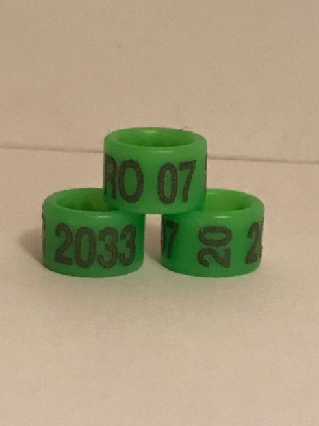 E156882F-6D78-447C-9C31-1C9E4957FF3E - 0001 Inele Ornament 2020