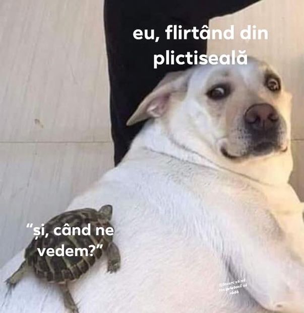 4AE2F6FC-B3CD-414D-9F56-203E36AD02B9 - w i remember the rush