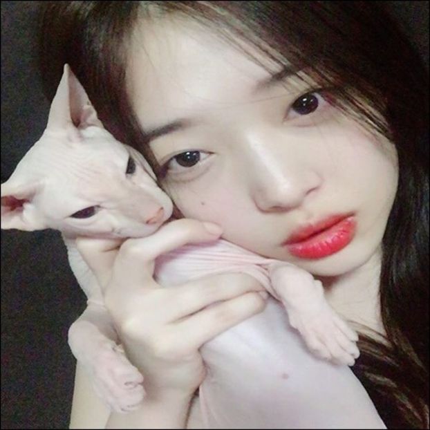 Day 32 - 14.11.2019 - 0x _ In memory of SULLI _ choi jinri