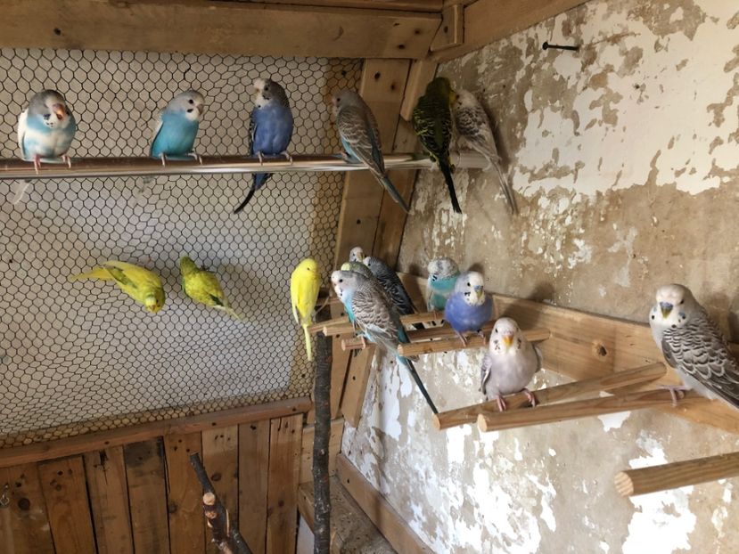 302F9C7A-0950-41ED-A028-A853927A289C - Perusi