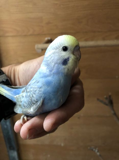 13D09B28-3429-4859-91E9-A60F044B82AF - Perusi