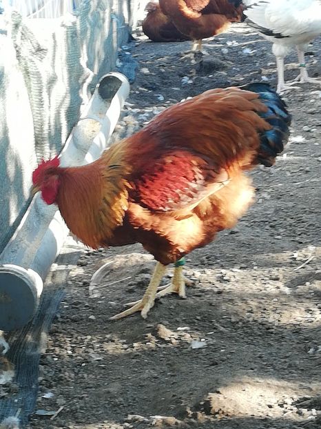  - 2019
