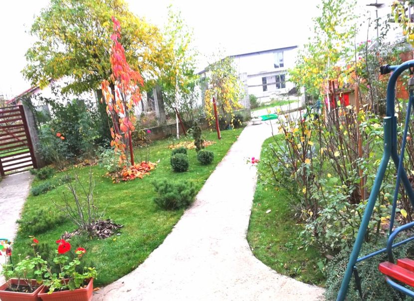  - Gradina noiembrie 2019
