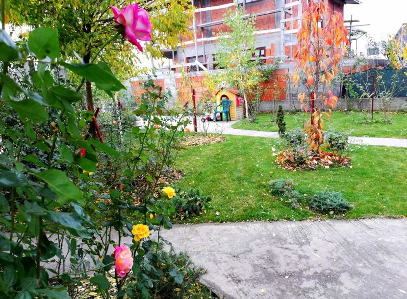  - Gradina noiembrie 2019