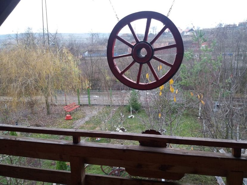 75462421_3290918860980630_5998154006206087168_n (1) - toamna 2019