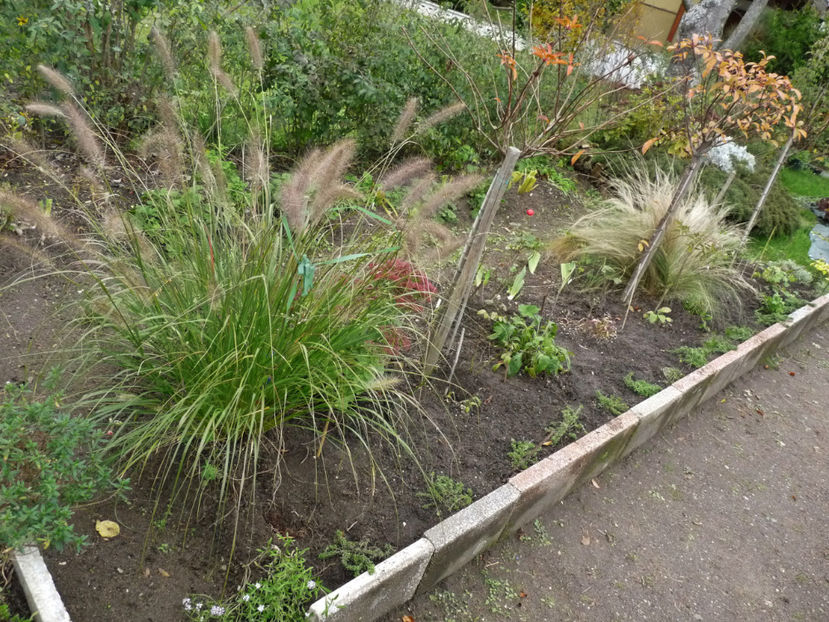  - 2019 - 03 - Toamna