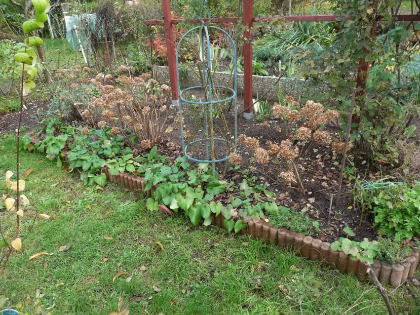  - 2019 - 03 - Toamna