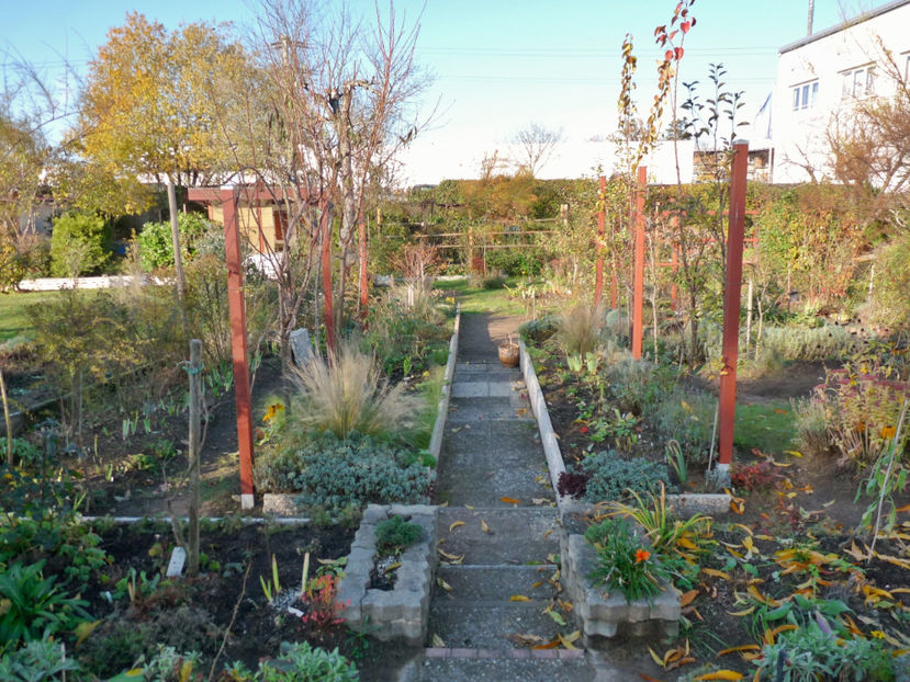  - 2019 - 03 - Toamna