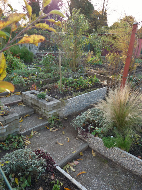  - 2019 - 03 - Toamna