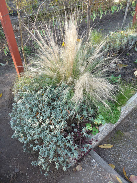  - 2019 - 03 - Toamna