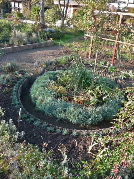  - 2019 - 03 - Toamna