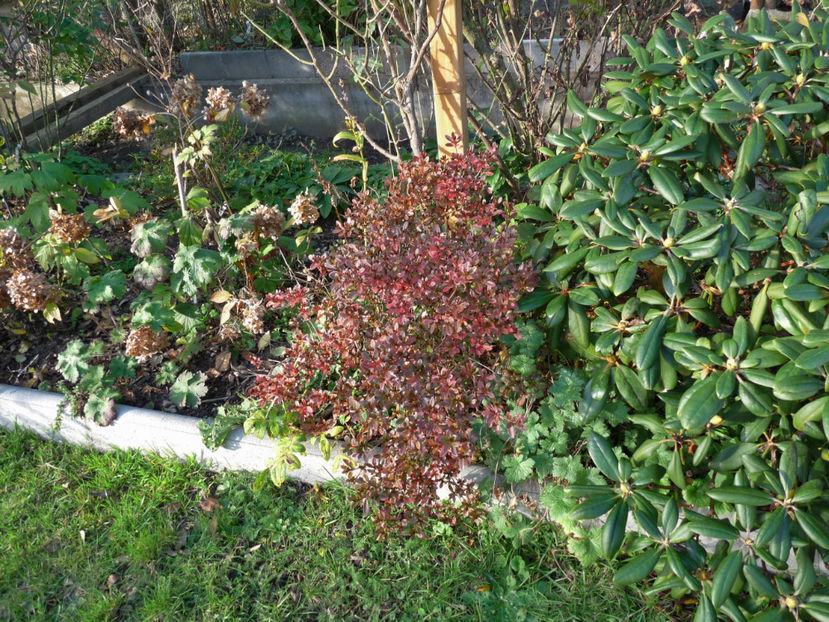  - 2019 - 03 - Toamna